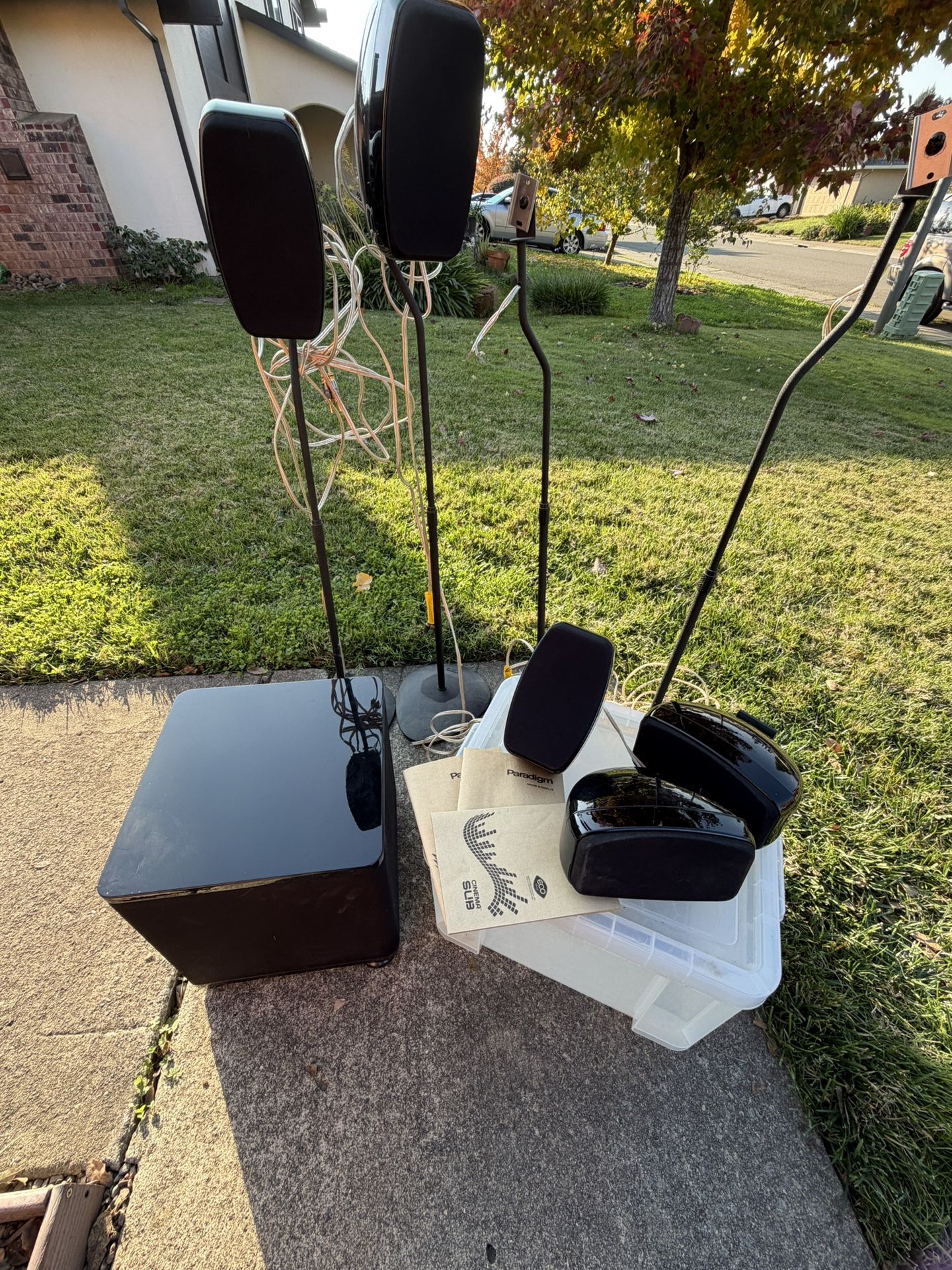 Paragon Cinematic Speakers Includes Woofer And Stands