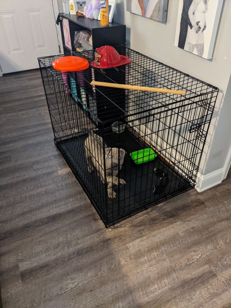 Large Dog Crate For Sale