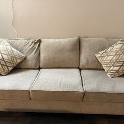 2 sofa and coffee table 