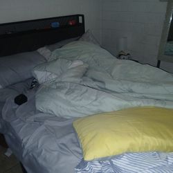 Bed