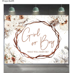 Gender reveal poster