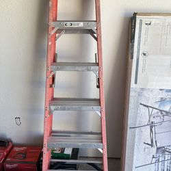 Werner Ladder. Great Condition
