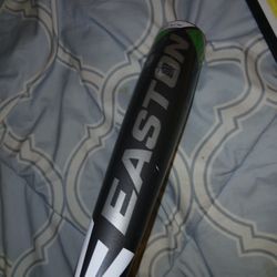 Easton 5450 Baseball Bat 31 Inch 