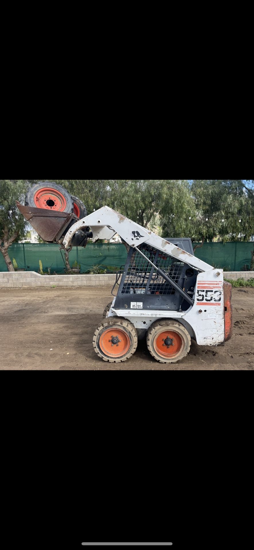 Bobcat