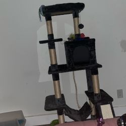 Cat Tower 