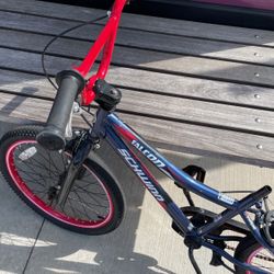 Schwann Boys Bike $$25