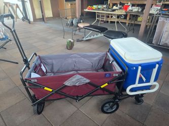 Utility tailgate wagon