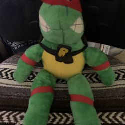 Teenage Mutant Ninja Turtle