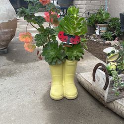 Rain Boots With Plants 