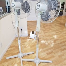 Pedestal Fan