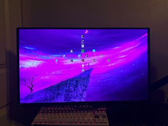 OLED Monitor
