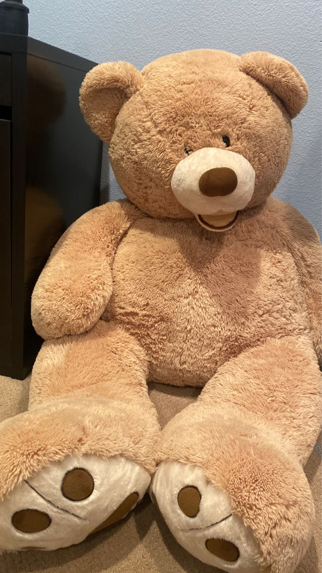 Huge Teddy Bear 🧸