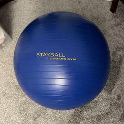 Stayball by Golds Gym