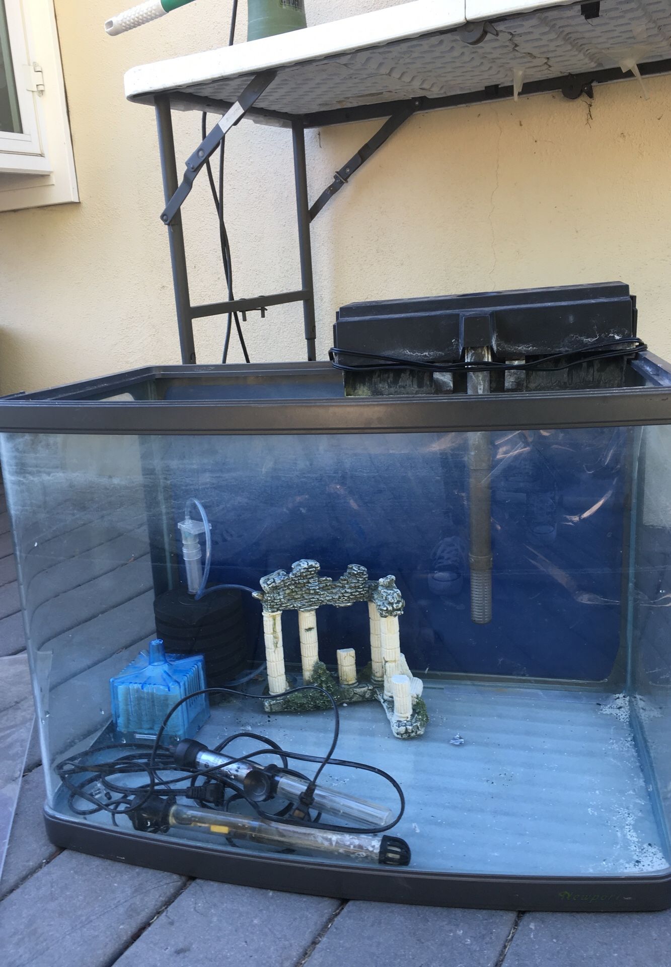 30 gallon glass fish tank