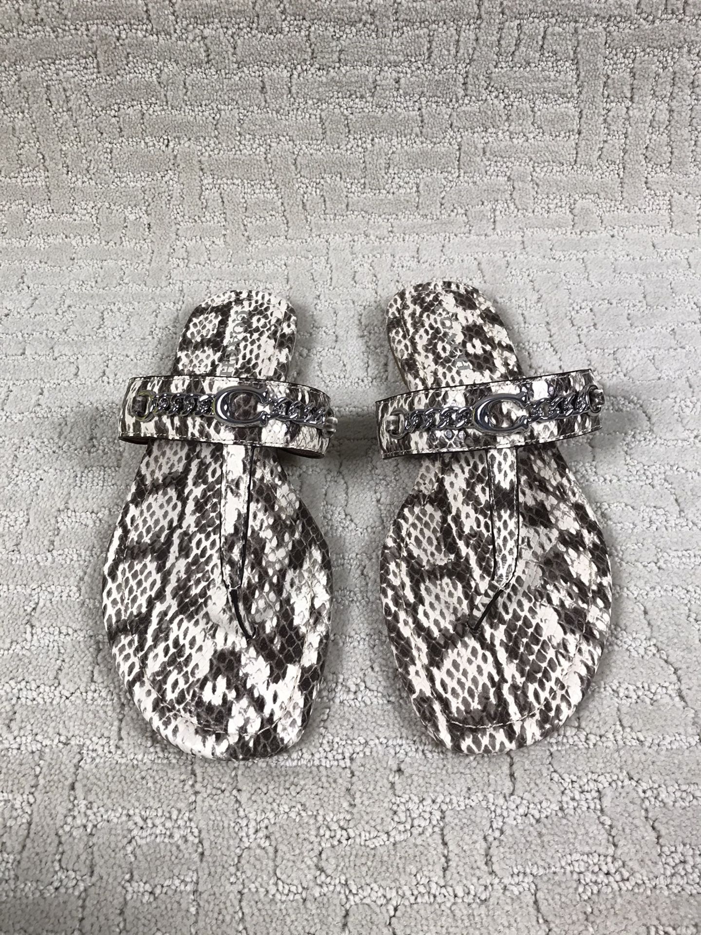 Coach Jaclyn Leather Snake Print Thong Sandals Size 11 NWOB (FG3816)