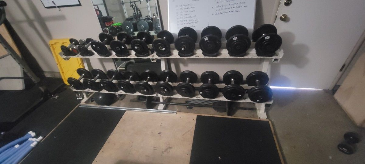 Dumbbells and Rack