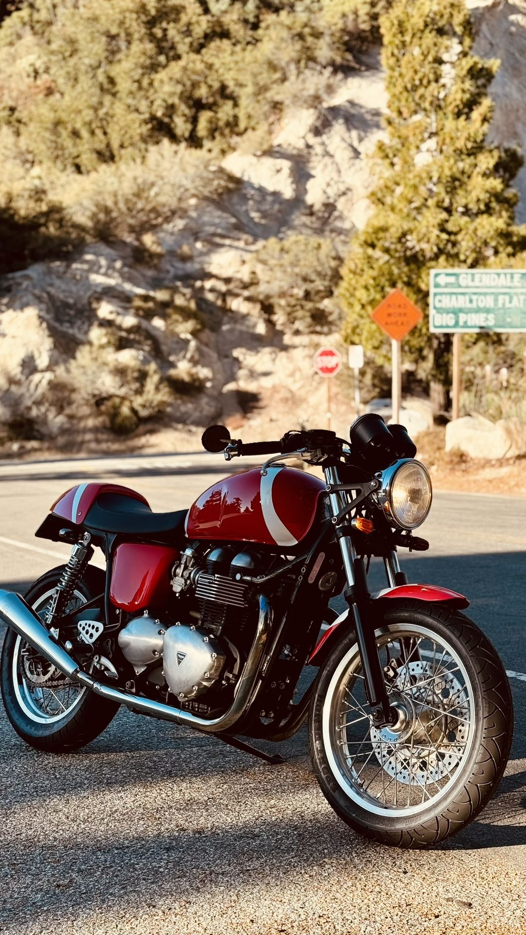 2010 Triumph Thruxton