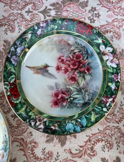 Beautiful hummingbird plate