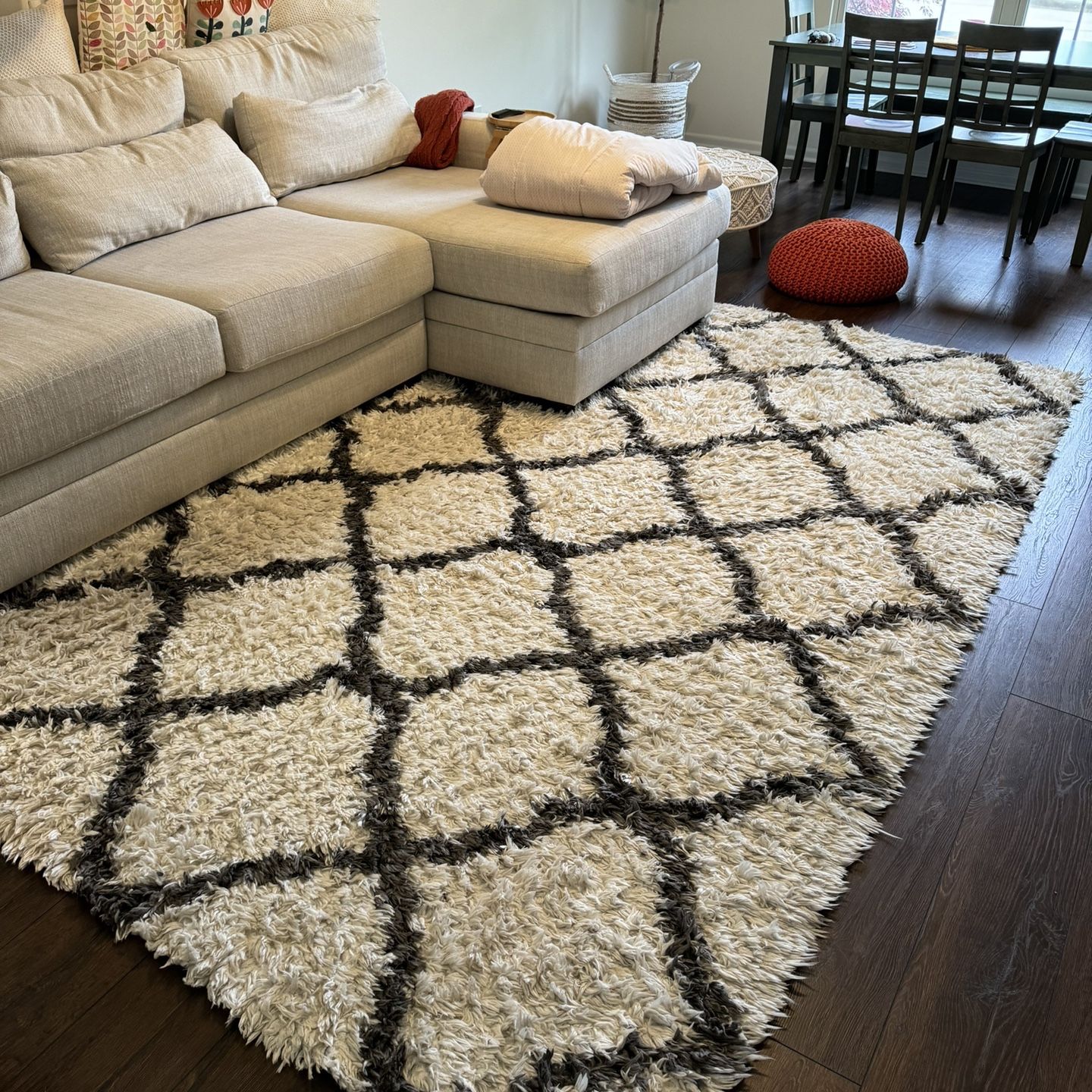 8 x 10  ft Shag Area Rug