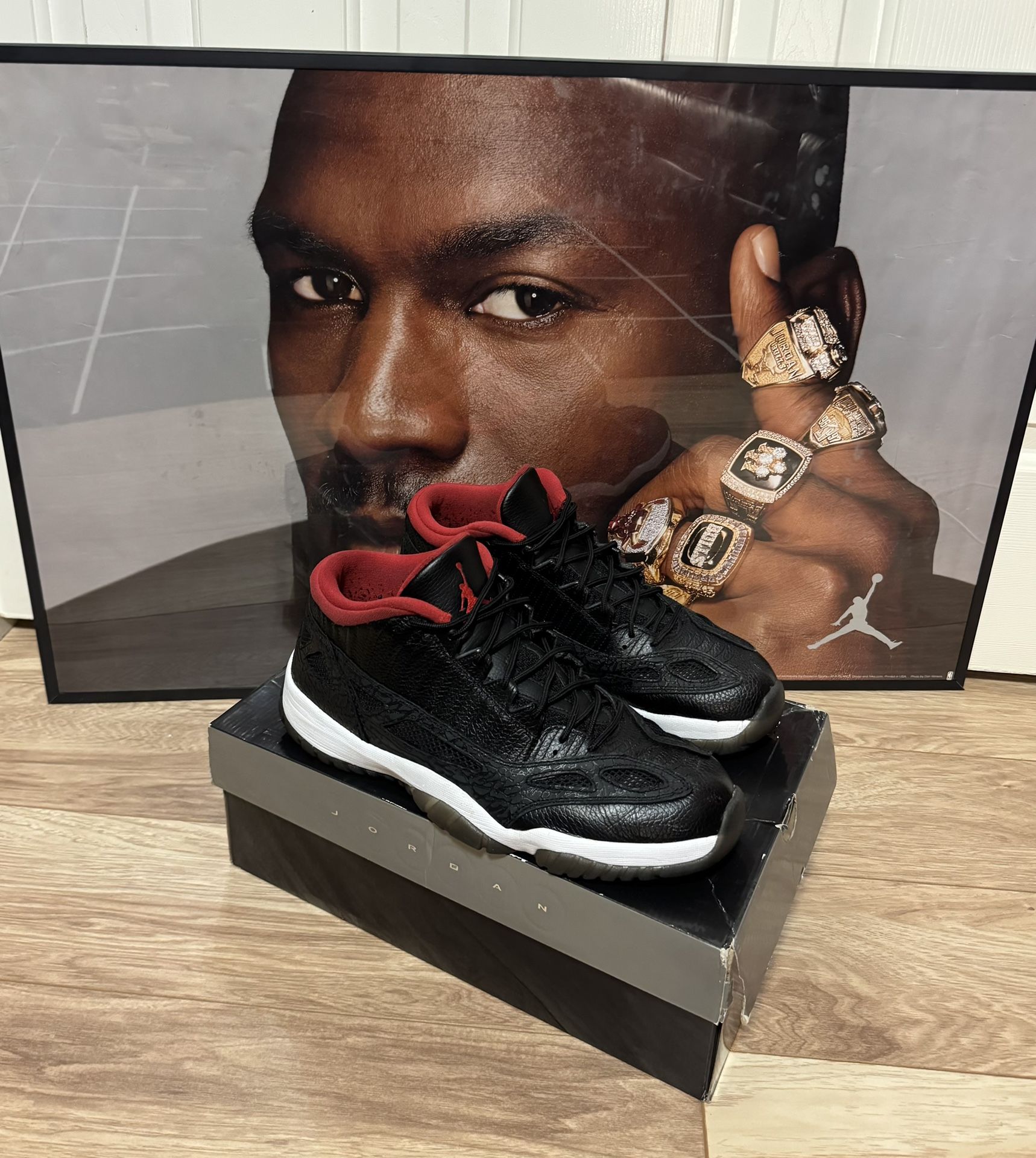 Jordan 11 Low Ie Size 13