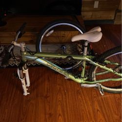 Gary Fisher Mountain Bike