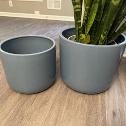 Light Blue Ceramic Plant Pots