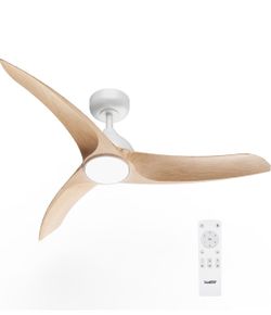 Tavzake brand new fan
