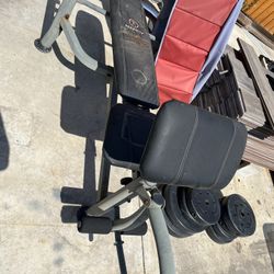 Weight Bench 