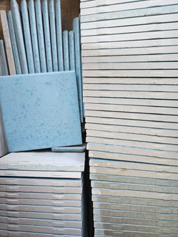 Mexican Blue Tile
