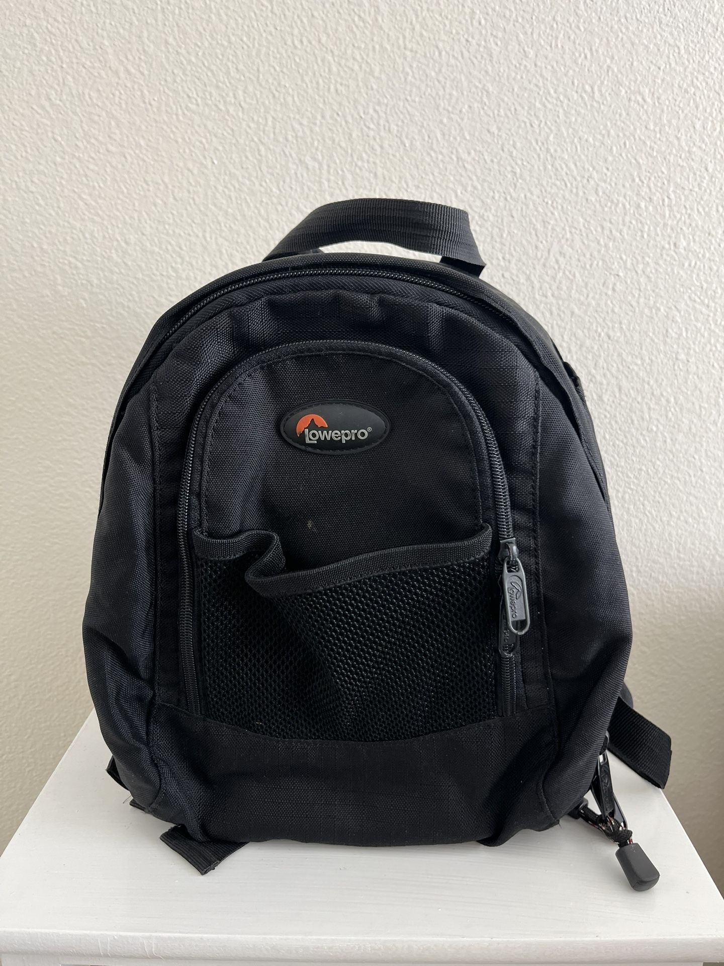 Lowepro Professional Camera Bag