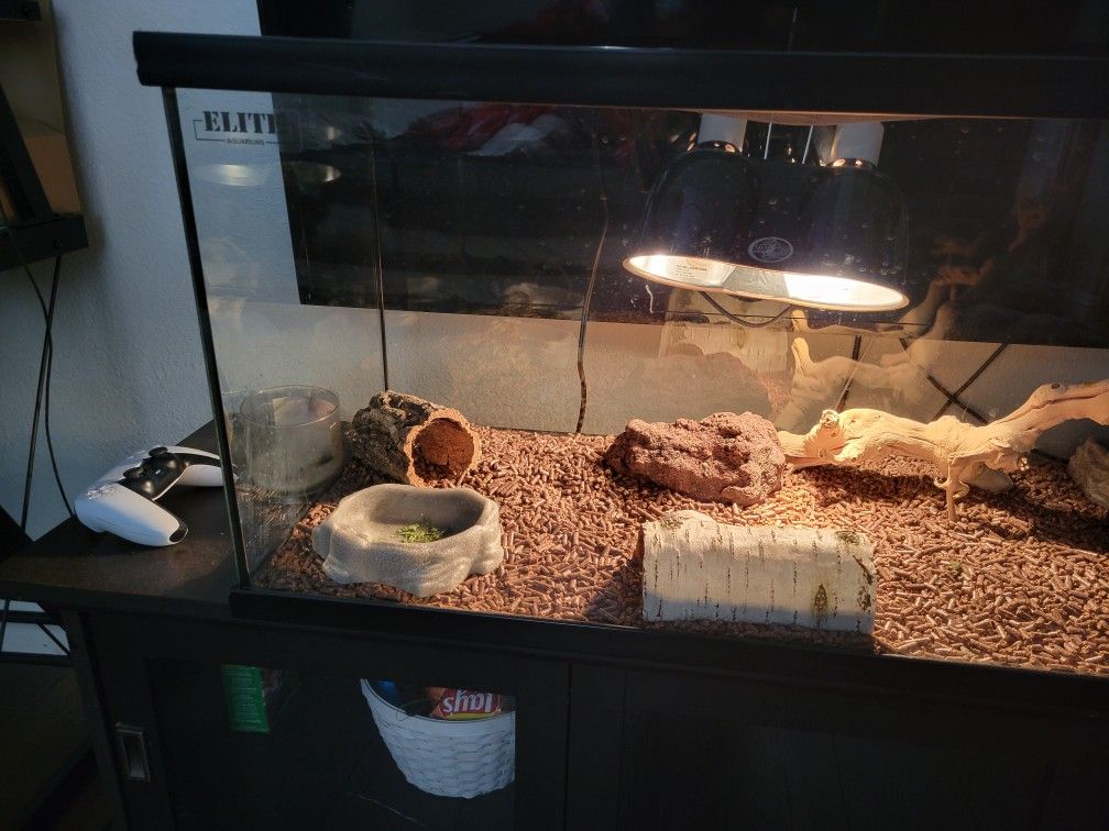 36x16 Reptile Enclosure With Heat Lamp & Thermometer