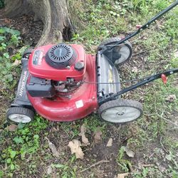 Push Mower And Riding Mower 