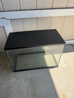 Fish Tanks