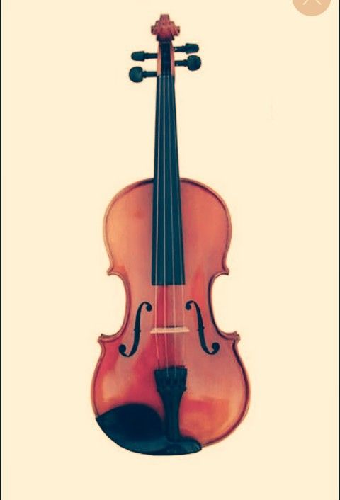 Violin 3/4 size