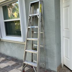 Werner 356 Stepladders, 6-Foot, Silver