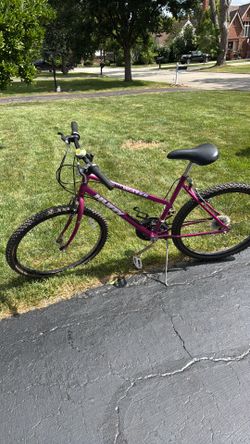 Bicycle guffy back water 18”