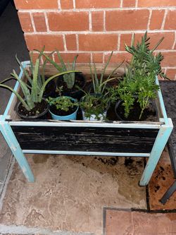 Red Brick Background Blue and Black Box Green plants