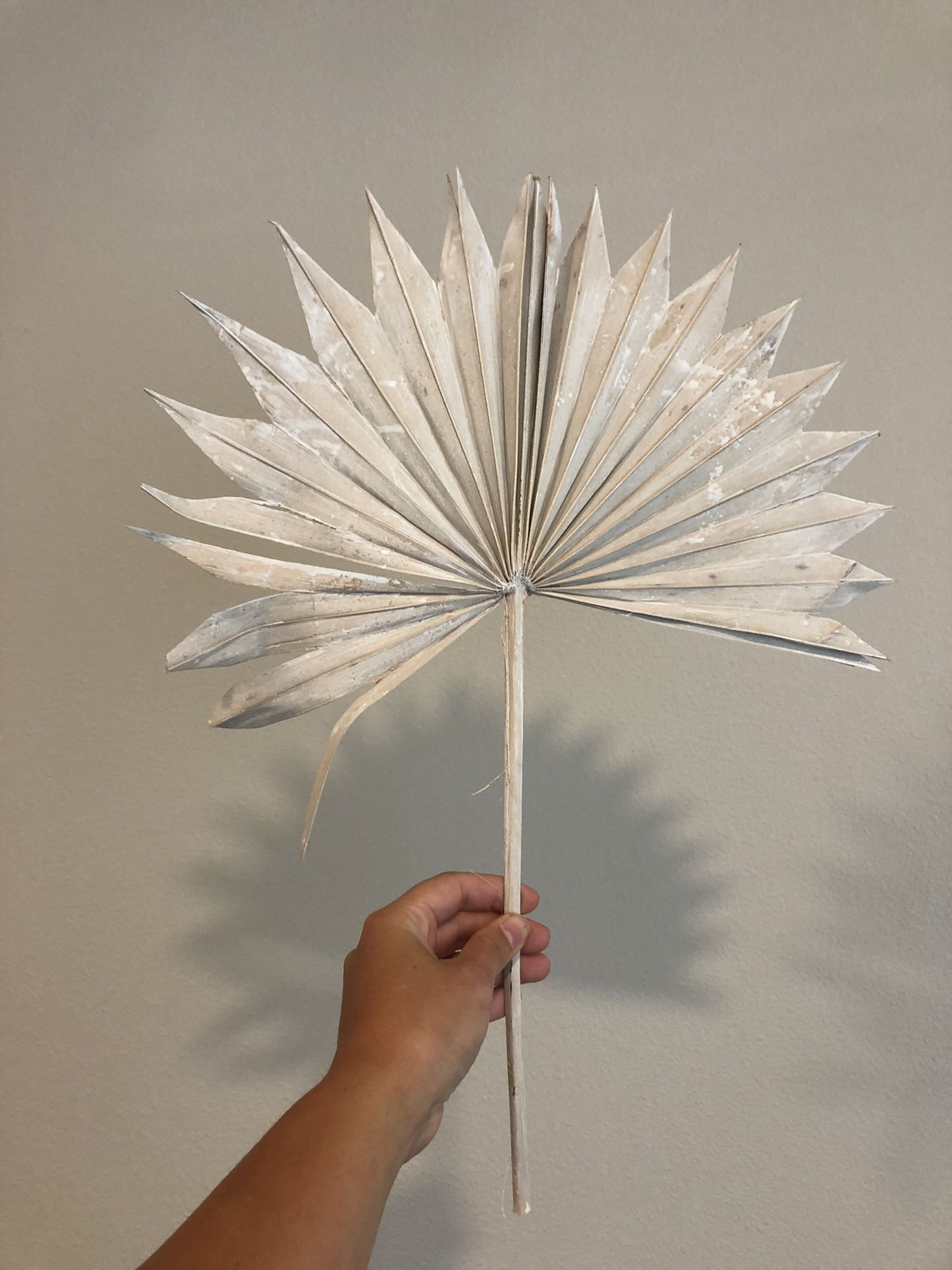 Dried Sun Palm Leaves Boho Decorations