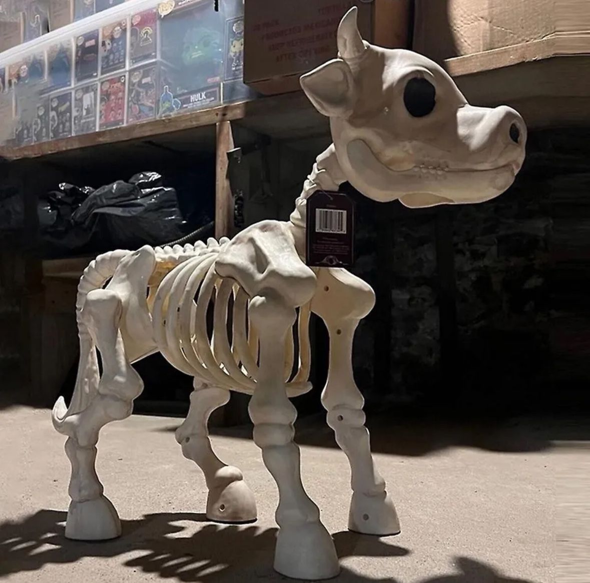 Cow Skeleton Halloween Decoration Tractor Supply Tik Tok