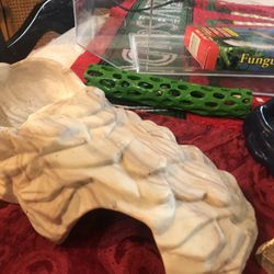 Fish 🐠 Tank  Or Can Be Used For Hermits 