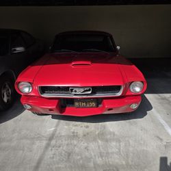 1966 Ford Mustang  Fast Back