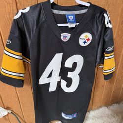 Polamalu Jersey 