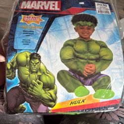 2 Piece Custom Hulk 