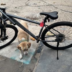 Ozark Trail Bike