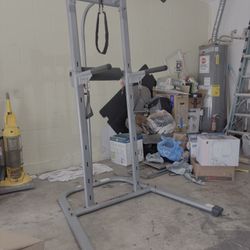 Bowflex Body Tower Pull Up Bar