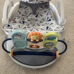 Cute Fisher Price Owl Play Seat For Babies