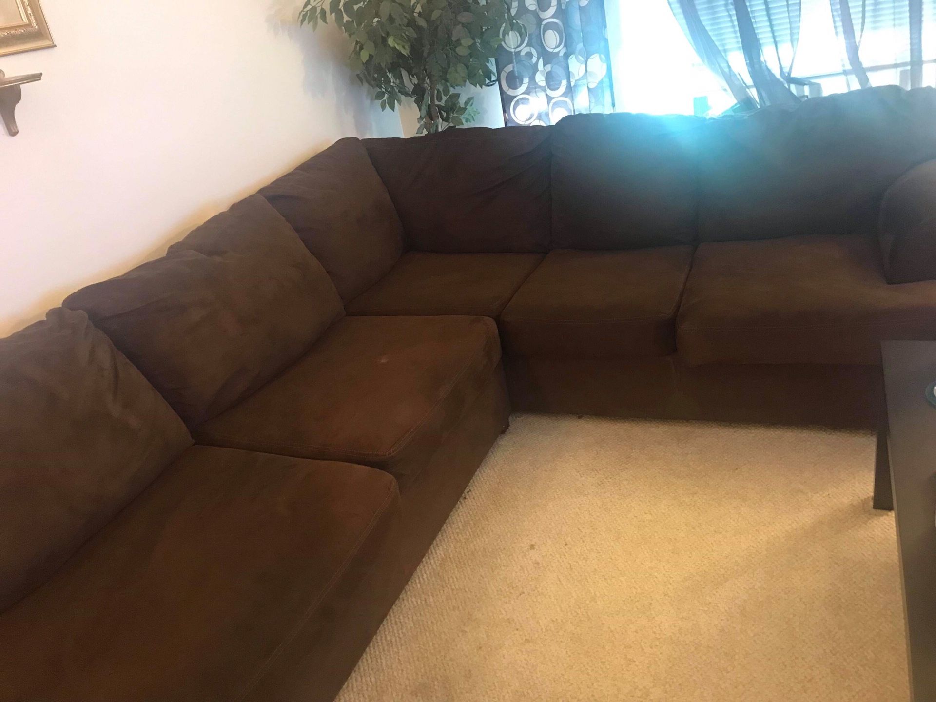 Ashley Sectional Sofa! No Tears! **Pet Friendly Home - Non Shedding Dog in Home**