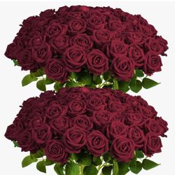New 60PCS Burgundy Artificial Roses Bulk