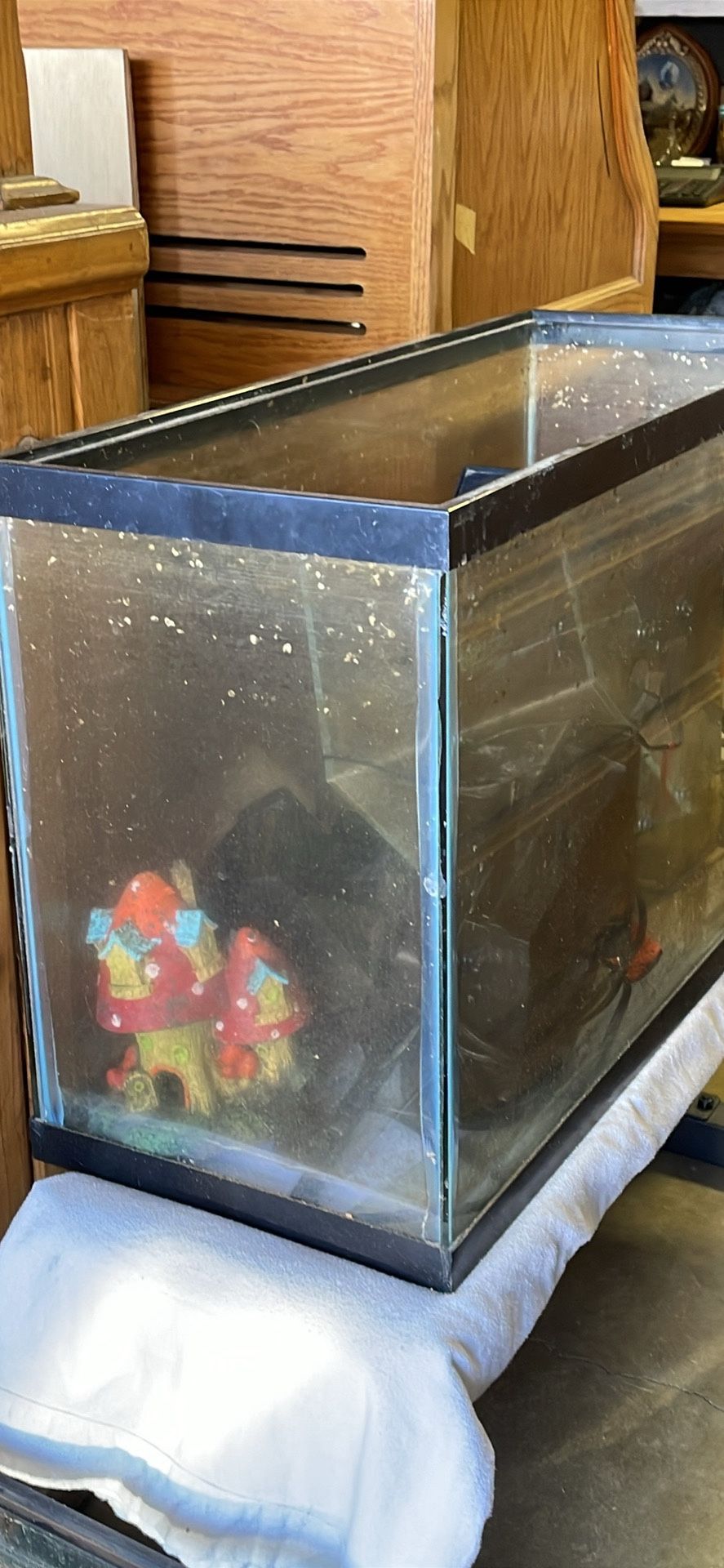 Fish tanks – 30 gallon, 10 gallon, 1 gallon,