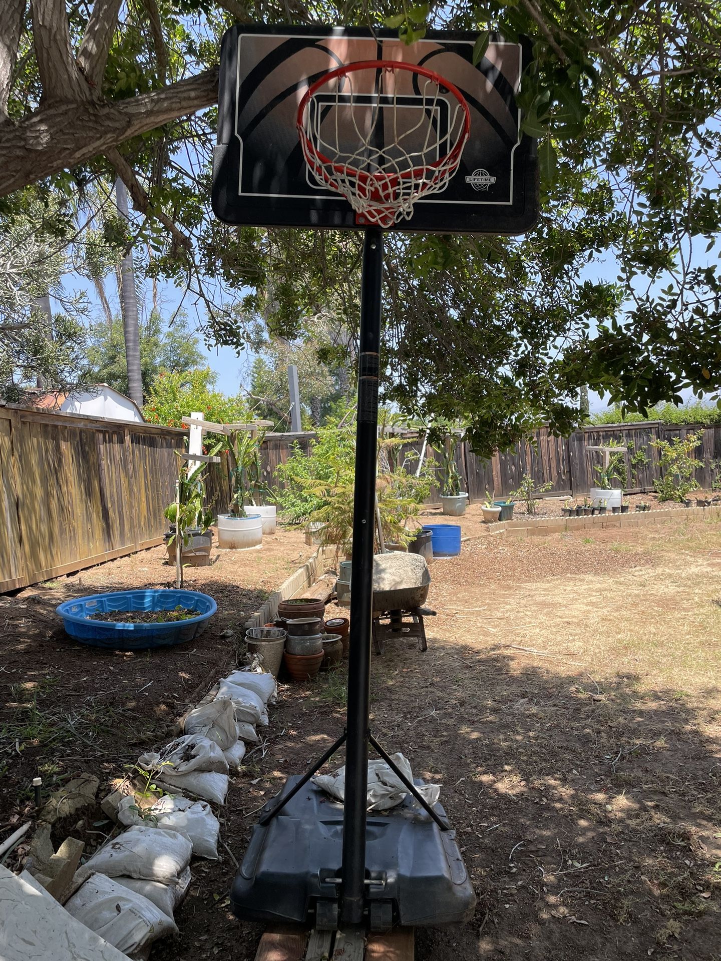 Free Adjustable Basketball Hoop 